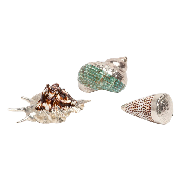 Jade Mixed Shell Set of 3 - 2023 holiday gift guide