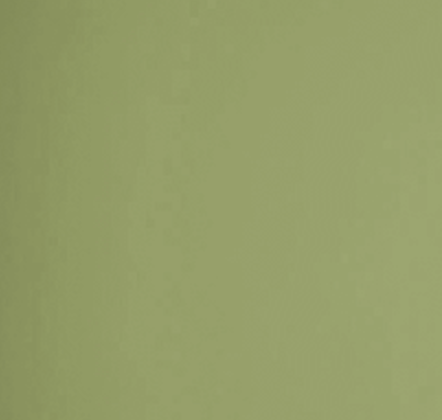 Tini II Table in Sherwin Williams LeapFrog with Linen Surface