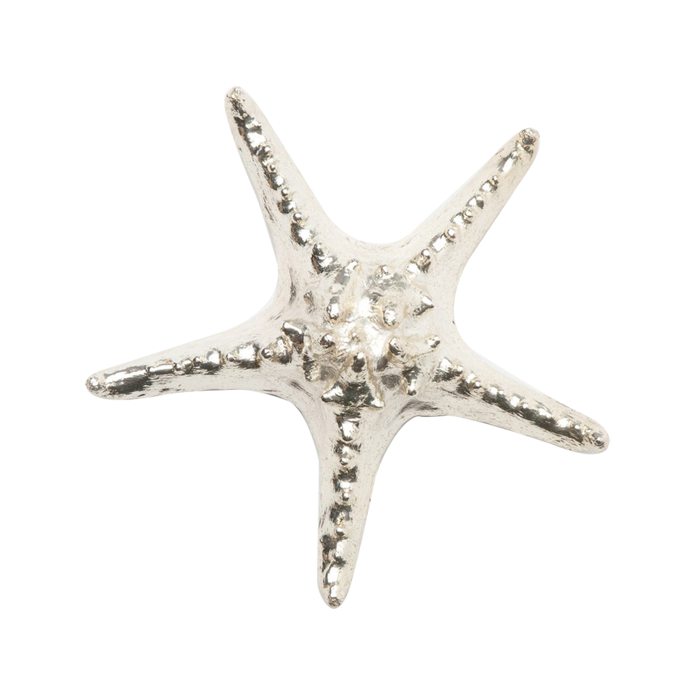 Warm Silver Starfish