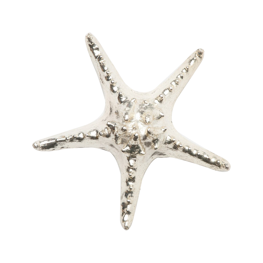 Warm Silver Starfish