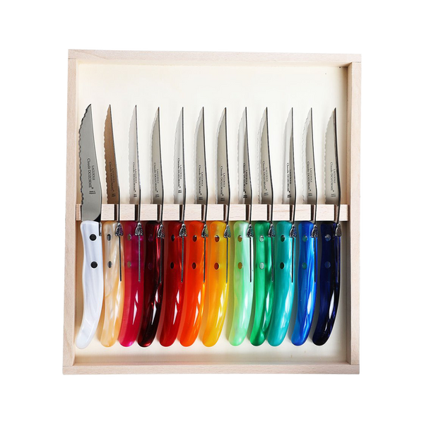 Set of 12 Assorted Color Steak Knives Box Set - 2022 holiday gift guide